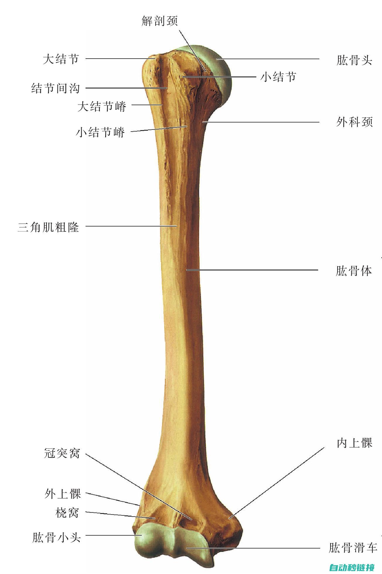 图解教程大解析 (教程全解)