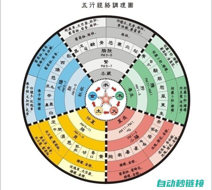 五、高级技巧与优化策略 (高级的五笔怎么打)