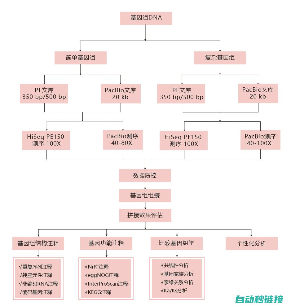 技术探索与原理分析 (技术探索与原理的关系)